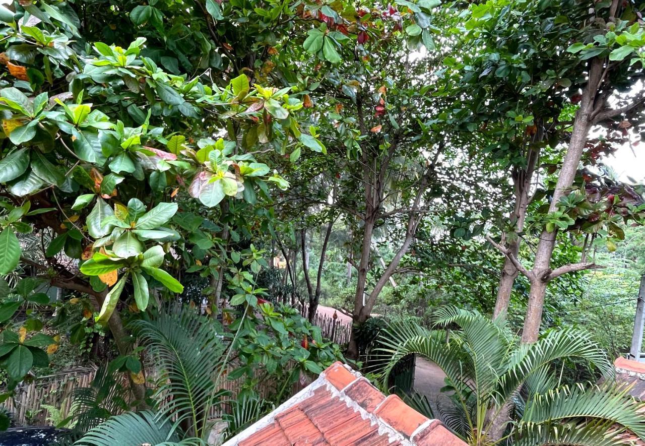 New Roy Guest House Kalkudah  Exterior foto