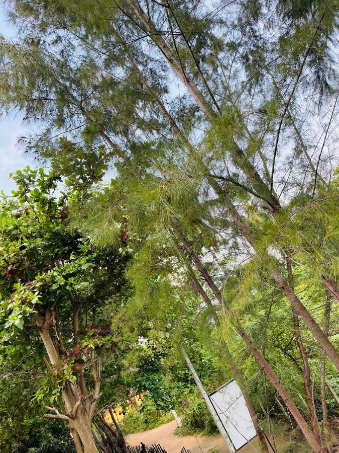 New Roy Guest House Kalkudah  Exterior foto